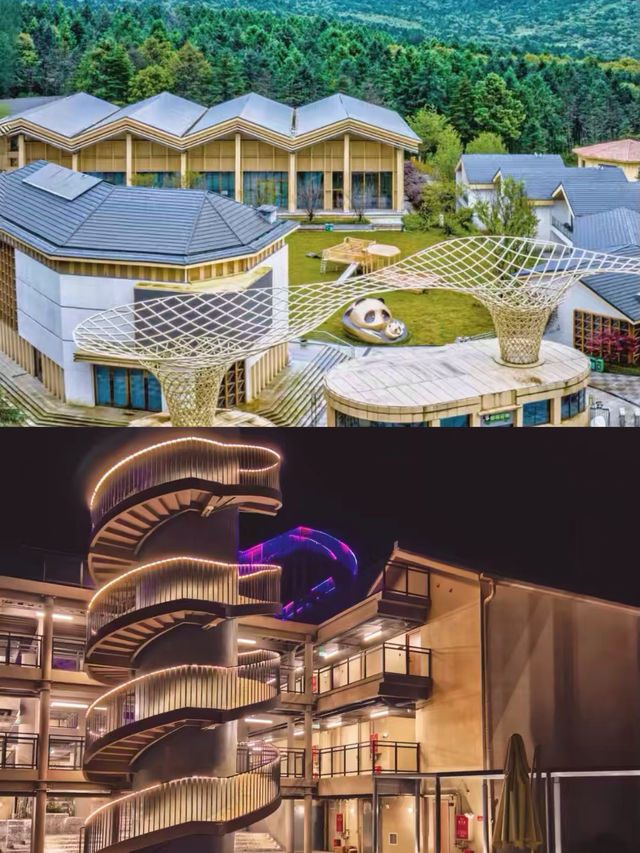 石棉歸來，我的建議係…