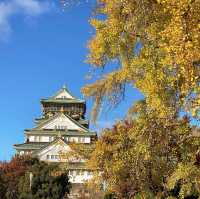 🏯大阪城百年風雲與Crossfield Café的時光滋味