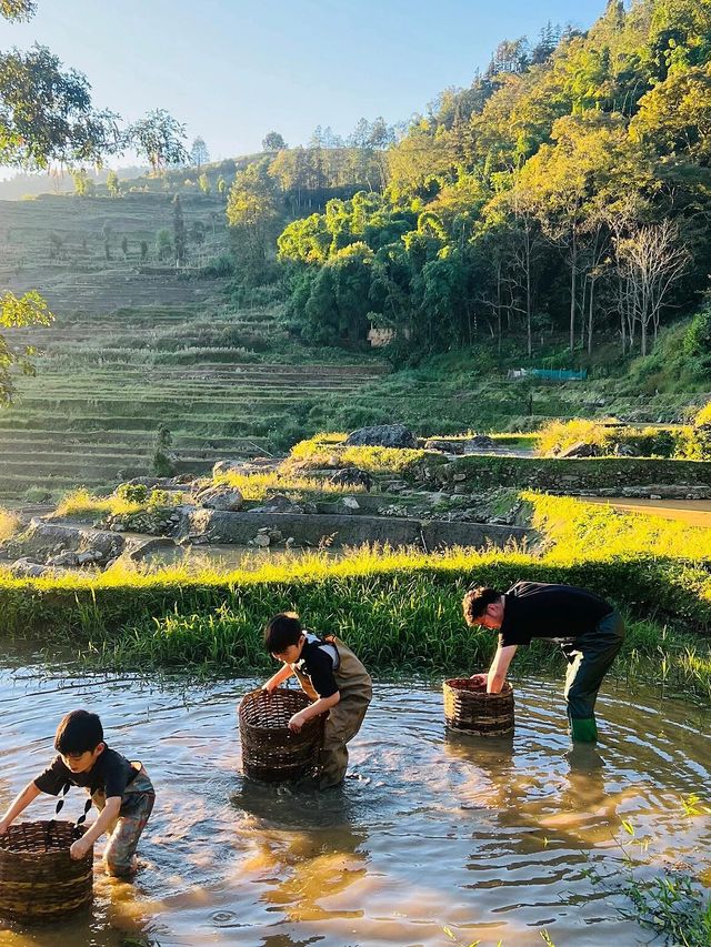 親子旅遊｜彌勒只有22°嘅小眾避暑小城