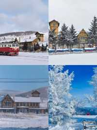 安全、高顏值、氛圍感爆棚嘅5個雪境目的地