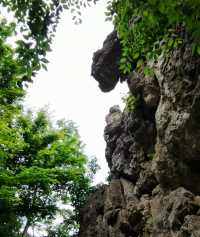 探秘京山：綠林漂流×虎爪紅葉×太子餵鹿全攻略！