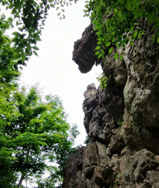探秘京山：綠林漂流×虎爪紅葉×太子餵鹿全攻略！