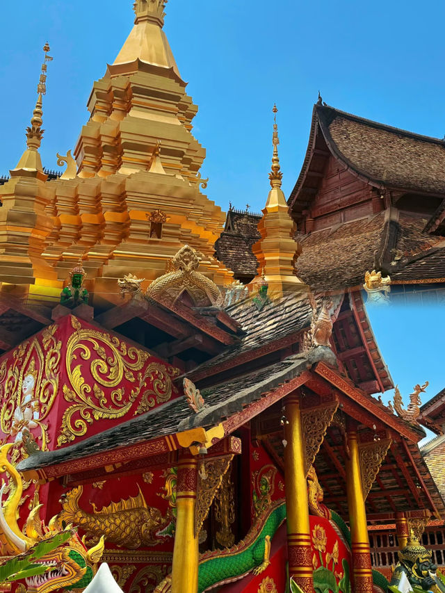 西雙版納6天5晚旅遊慳錢又慳心