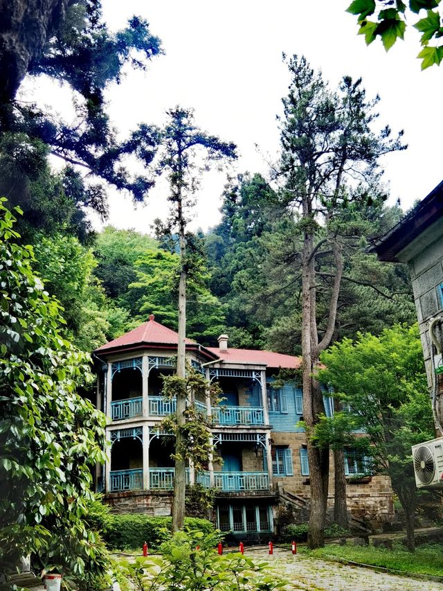 廬山避暑｜暑期優惠，解鎖清涼仙境