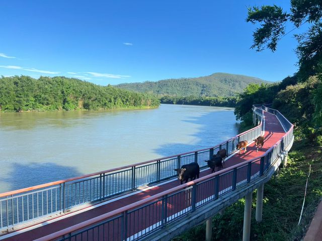 得閒·雲水間民宿的詩意旅拍場景