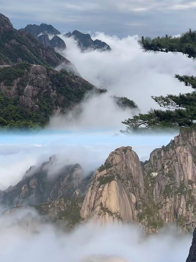 黃山三日遊踩完雷返嚟，真心建議7-9月淡季去！！！