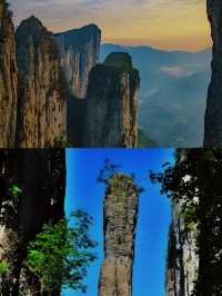 世界硒都·恩施：探索長壽之鄉的養生密碼