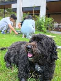 【少間·半書舍民宿｜夏日玩水天花板！