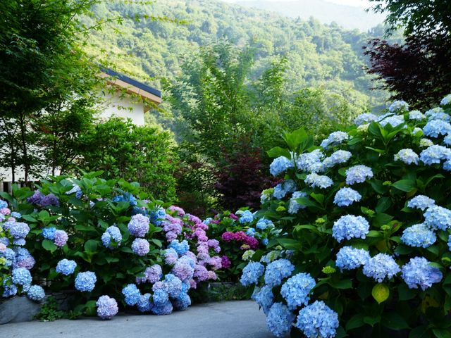 山間秘境，盛夏浪漫