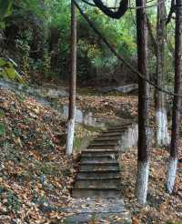 不愧係有600幾年歷史嘅昆明古寺，真係不枉此行