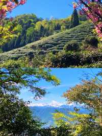 離太陽最近嘅山！喺蒙頂之巔，睇一場雲海托日嘅視覺盛宴！