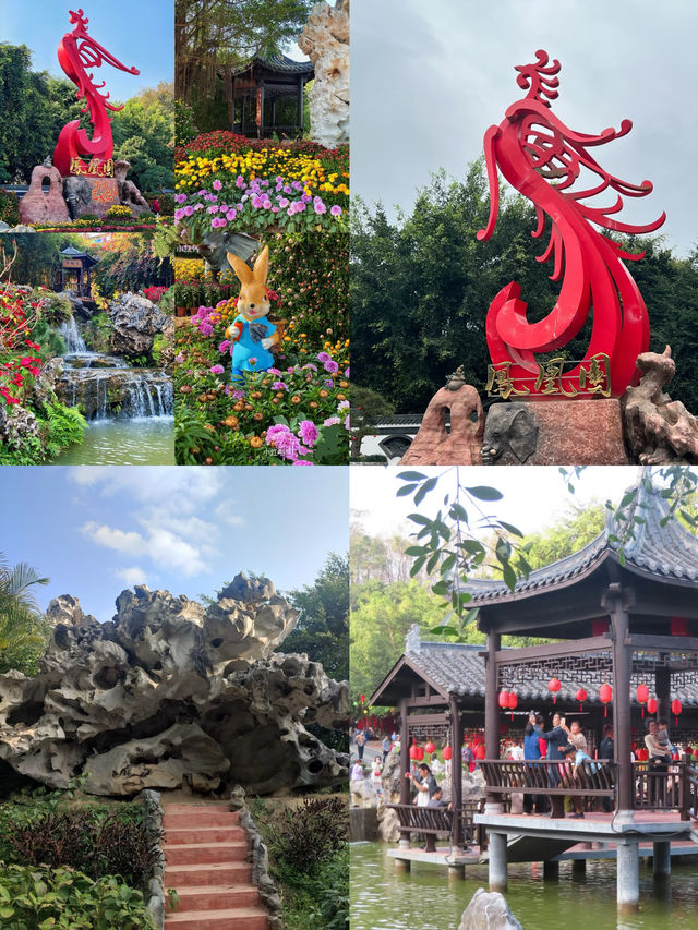 廣東隱世仙境!高州鳳凰園美到窒息 廣東隱世仙境!高州鳳凰園美到窒息