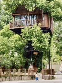 就在杭州|帶小朋友住進樹屋打卡7國係咩體驗