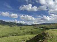 雲上草原：會澤大海草山的治癒之旅