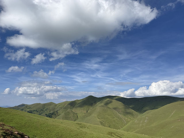 雲上草原：會澤大海草山的治癒之旅
