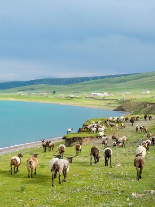 Unlocking the Secret of Qinghai Lake