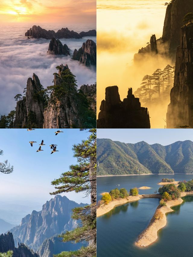 黃山3天2晚深度遊 | 秋日仙境·雲海奇觀·震撼之旅 黃山3天2晚深度遊 | 秋日仙境·雲海奇觀·震撼之旅