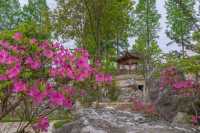 清華樸園處處是風景