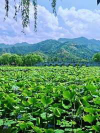 商於舊夢——棣花古鎮文化旅遊景區