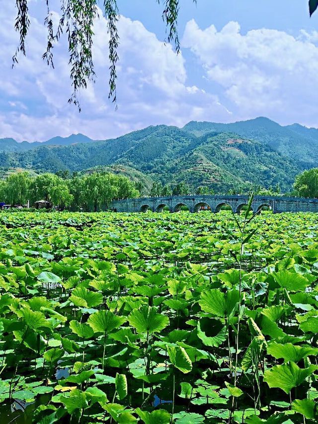 商於舊夢——棣花古鎮文化旅遊景區