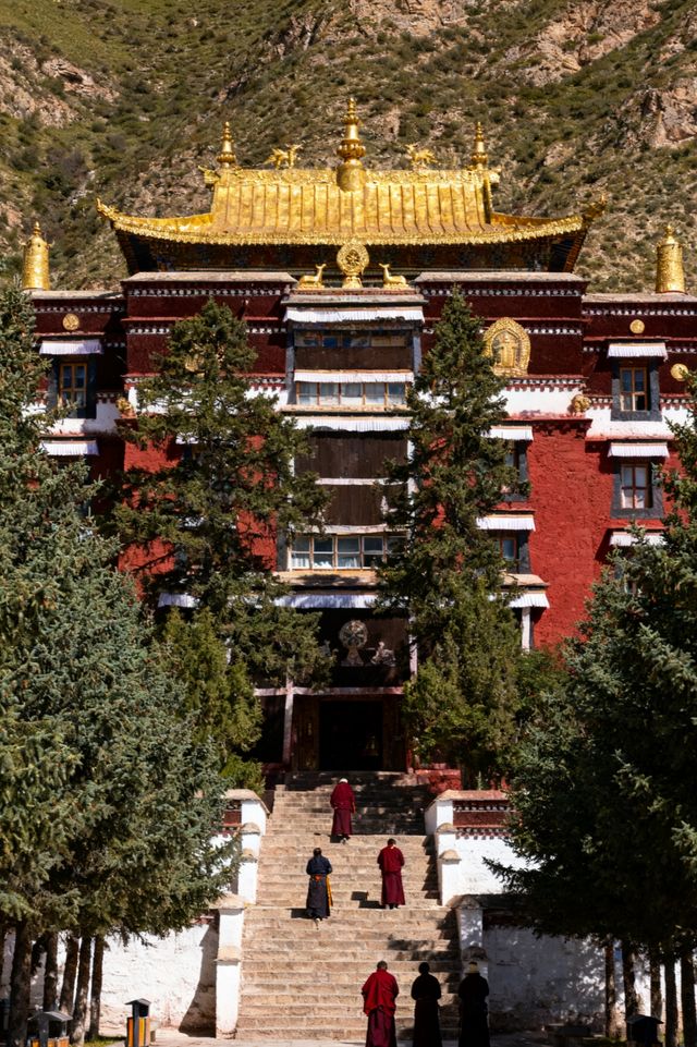 天祝25℃避暑天堂雪山下躺平太快樂了！