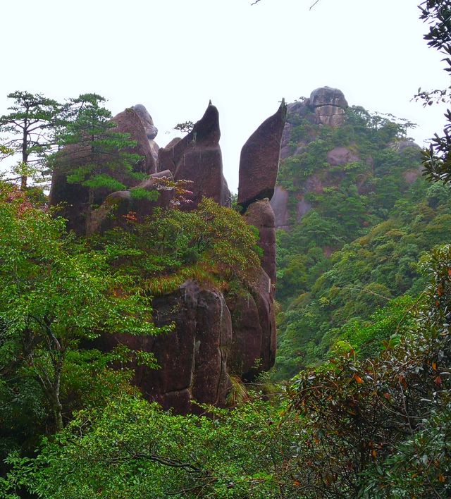 我看到的三清山