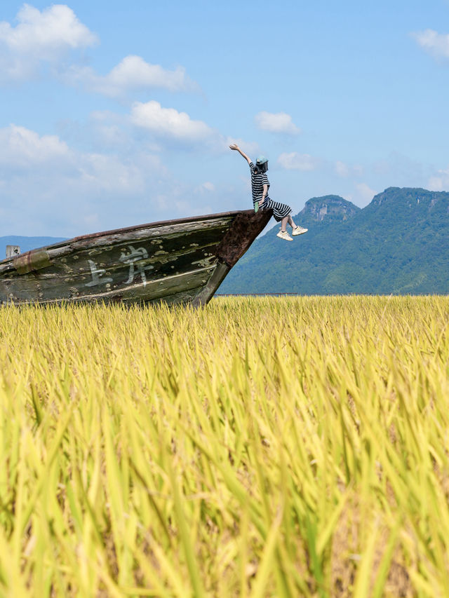 溫州周邊賞秋 | 1日自駕打卡浙南千年古村落