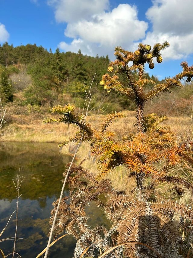 去南黃古道，抓住最後的秋天