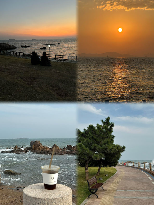 「秋日限定」青島十月氛圍感拉滿落葉與海浪的浪漫邂逅