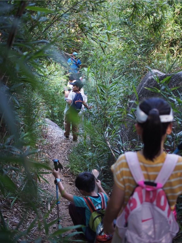 野路子徒步！記山野裡衝衝衝的少年們