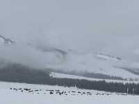 下雪的伊犁那拉提空中草原