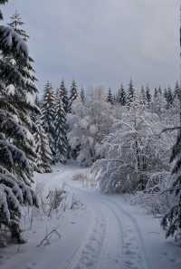 嵩山雪景仙境大公開！錯過再等365天