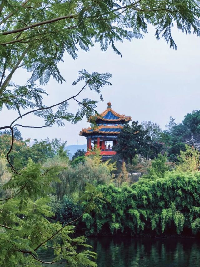 重慶園博園，煙雨中的江南秘境