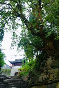 走進安順本寨：觸摸600年明代「活化石」的溫度