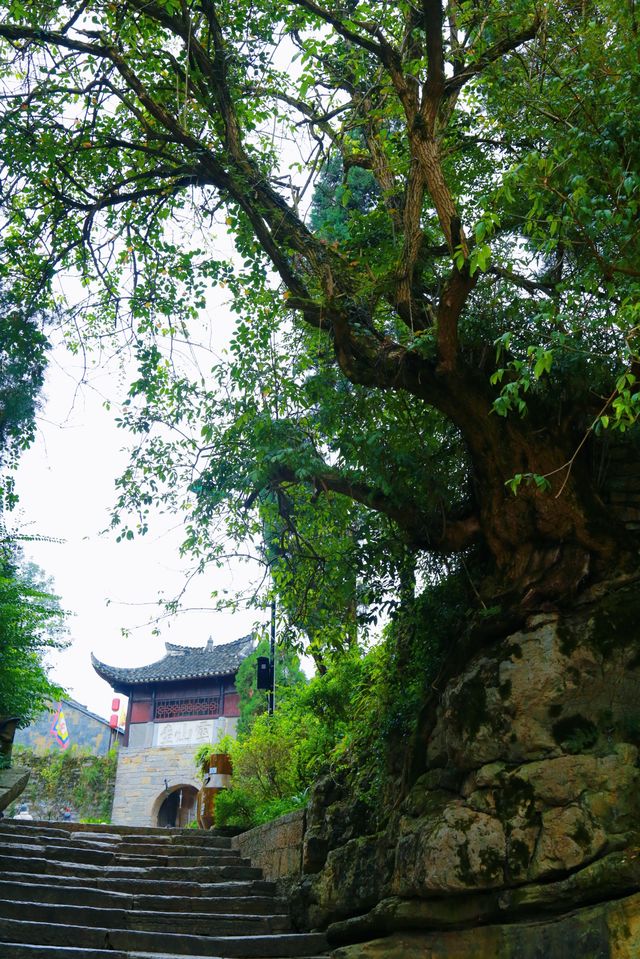 走進安順本寨：觸摸600年明代「活化石」的溫度