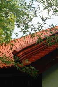 南京隱秘的文藝綠洲|竹林、墨香與一杯咖啡的午後