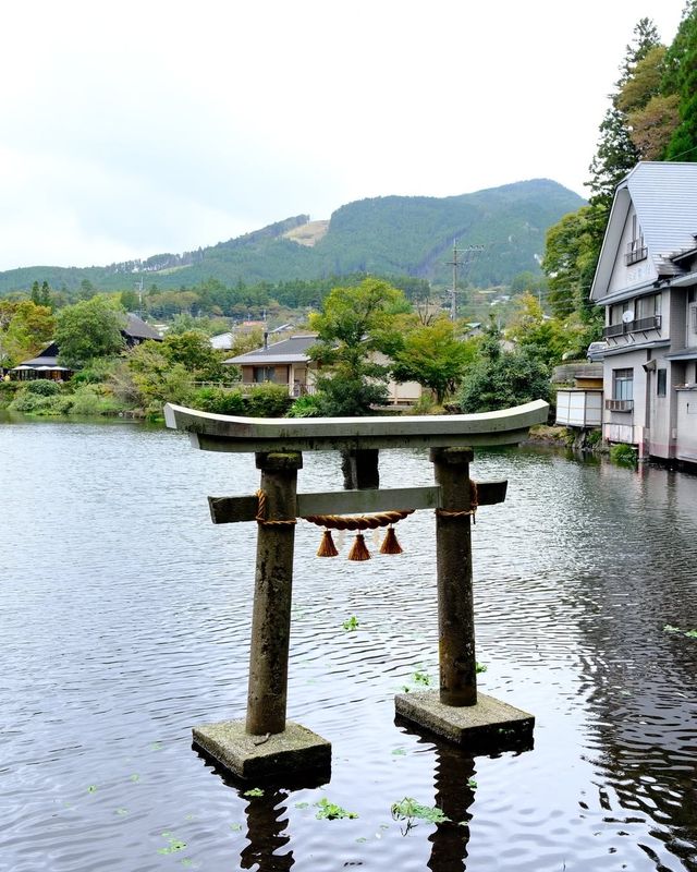 獨行日本的小確幸|在湯布院邂逅一個人的浪漫 獨行日本的小確幸|在湯布院邂逅一個人的浪漫