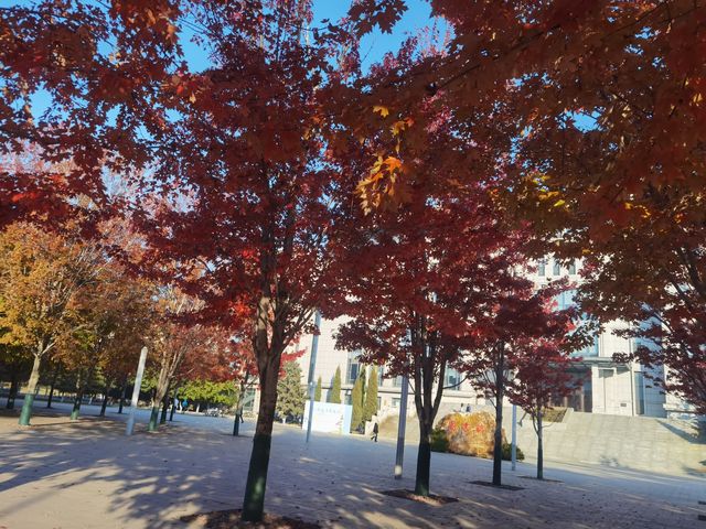 紅葉晚蕭蕭 紅葉晚蕭蕭