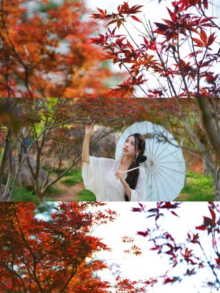 October 24th live shots! The autumn vibe here in Guangzhou is fully on!