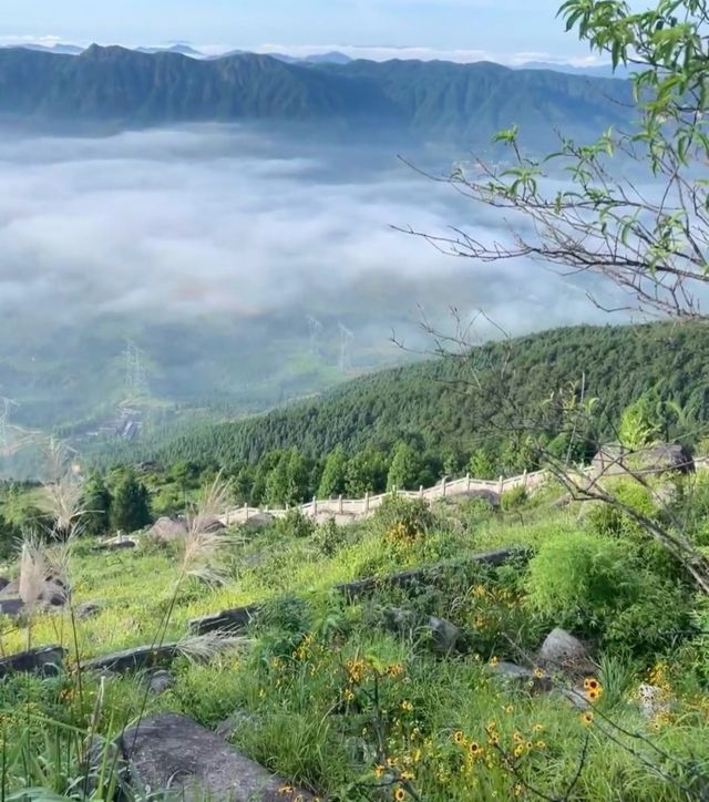 一起看日出-周寧仙鳳山 一起看日出-周寧仙鳳山