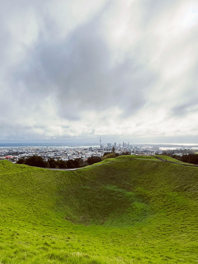 Meadow Magic Auckland🌱🌋 Mount Eden Lookout: Auckland's Ultimate 360° View!