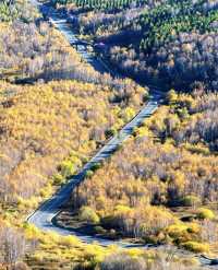 河北私藏!張北壩上3天2夜攻略,解鎖草原自由與避坑指南