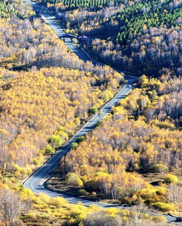 河北私藏!張北壩上3天2夜攻略,解鎖草原自由與避坑指南 河北私藏!張北壩上3天2夜攻略,解鎖草原自由與避坑指南