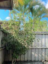 帶毛孩子泡私湯!這家溫泉酒店太可了