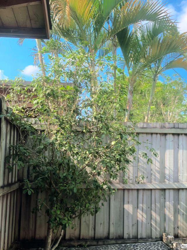 帶毛孩子泡私湯!這家溫泉酒店太可了 帶毛孩子泡私湯!這家溫泉酒店太可了