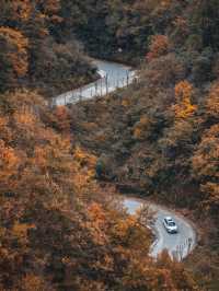 絕了！藏在邯鄲的七彩秋色仙境三條路線任你選