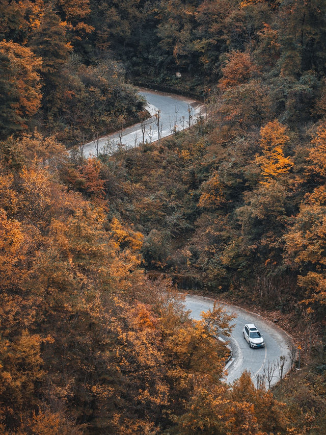 絕了！藏在邯鄲的七彩秋色仙境三條路線任你選