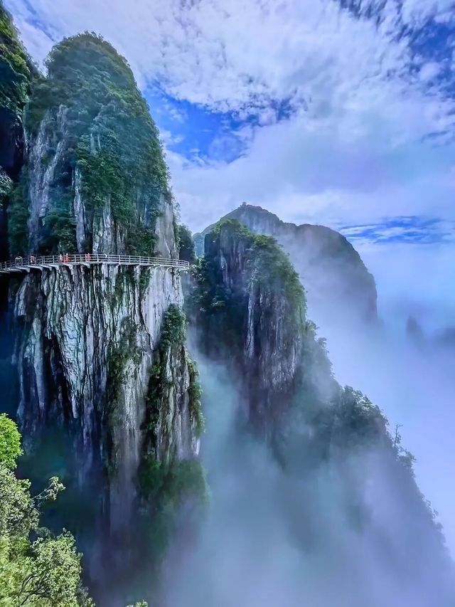 莽山五指峰雲海季開啟