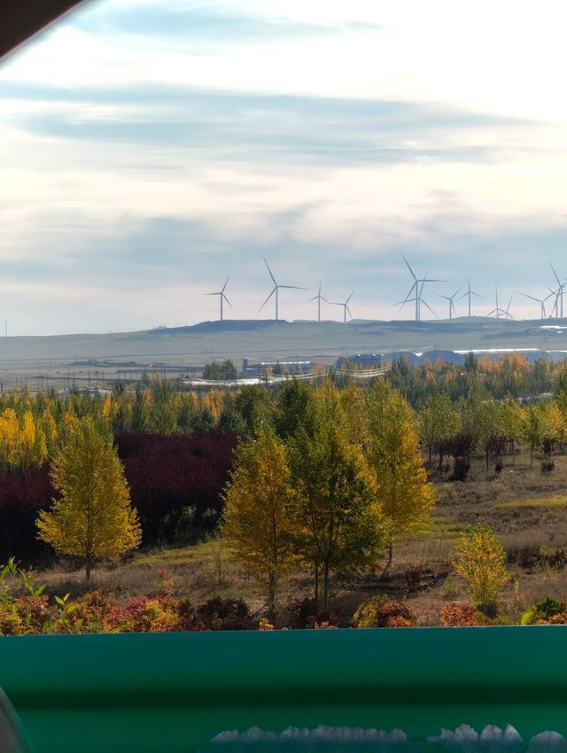 呼倫貝爾卡線:最美邊防公路名不虛傳