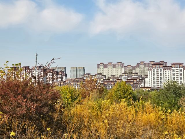 淄博小眾文藝地標攻略-海岱樓鐘書閣 淄博小眾文藝地標攻略-海岱樓鐘書閣